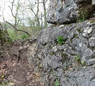 Burgfelsenpfad