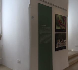 Museum für Ur- und Frühgeschichte