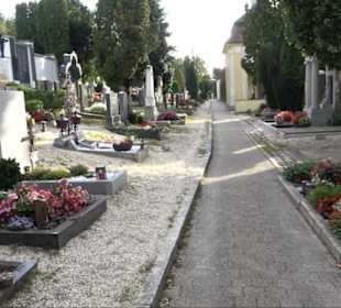 Haupt- und Waldfriedhof