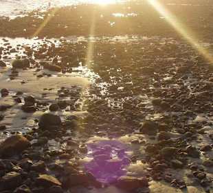 Sonnenuntergang am Faro