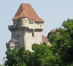 Zamek Liechtenstein-Maria Enzersdorf,Austria