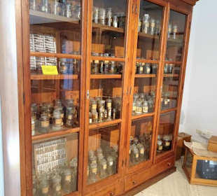 Das kleine Museum des Botanischen Gartens