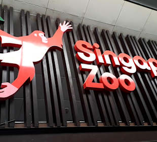 Singapur Zoo