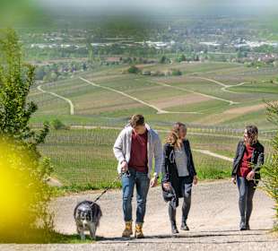 Wandern Baden-Baden
