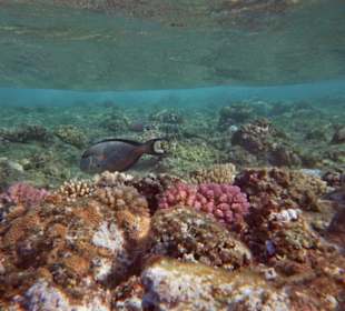 Unterwassereindrücke