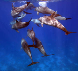 Bilder vom 13.10.16 von mir geschossen