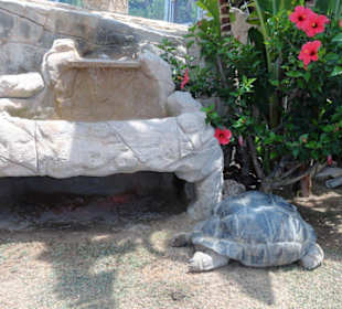 Mundomar Juillet 2011