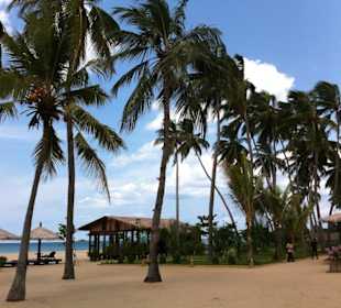 Amazing hotel recommendations