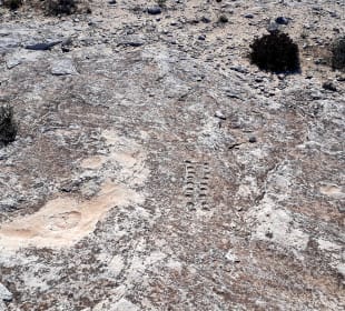 Al Jassasiya Rock Art Site