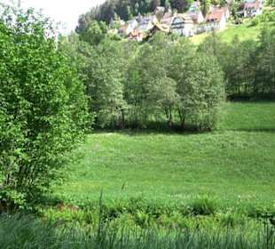 Wanderung Klosterquelle Klosterreichenbach