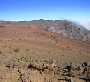 Gibt es doch Leben auf dem Mond?