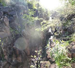 Blick in die Felsenschlucht
