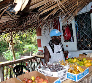 Querschnitt durch die Früchte der Insel