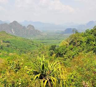 Khao Sok Tour
