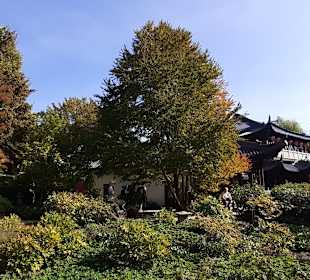 Luisenpark mit Fernmeldeturm