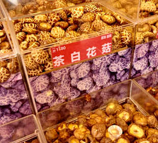 DiHua Street Datong Viertel