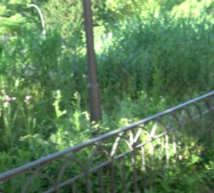 Seegarten-Anlage / Kurfürsten-Anlage