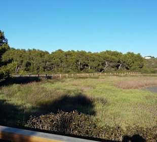 S´Albufera des Grau