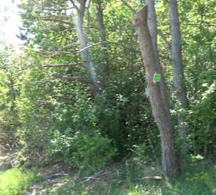 Premiumwanderweg Hochgehschätzt