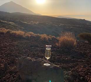 Ausflug Teide by Night!