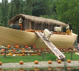 Kürbisausstellung mit Motto "Arche Noah"