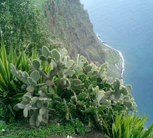Höchste Steilklippe Europas