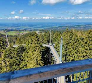 Skywalk-bis zu 30 Mtr. hoch
