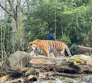 Tiergarten Straubing