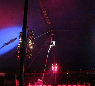 Landauer Weihnachtscircus 2015