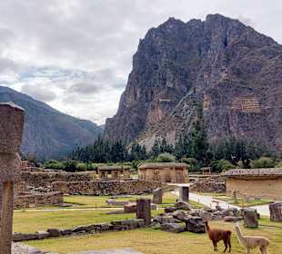 Inka Stätte Ollantaytambo