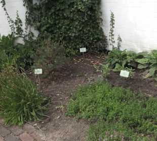 Apothekergarten