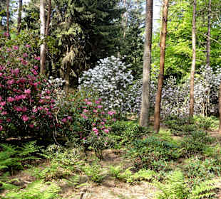 Impressionen vom Rundweg durch den Park