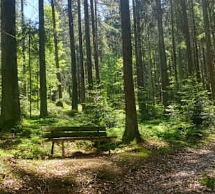 Wandern Drachselsried