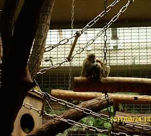 Besuch im Berliner Zoo