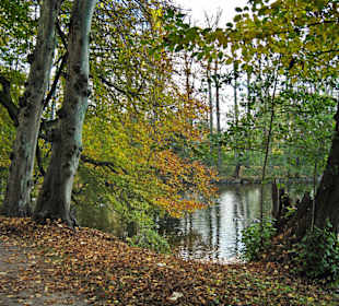 Парк Замка Ойтин. Золотая осень.