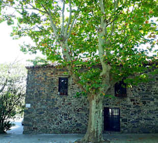 Colonia del Sacramento