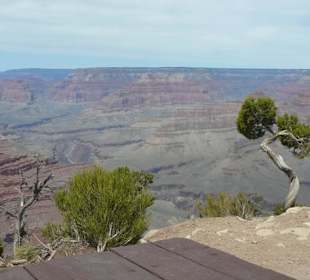 Ausblick beim Picknick