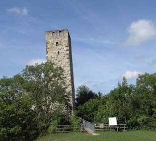 Burgruine Niederhaus