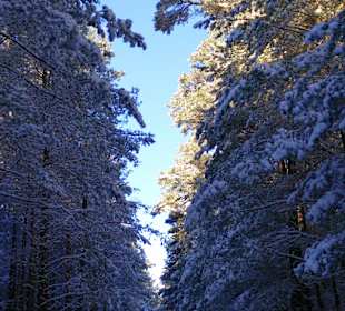 Müritzer Nationalpark