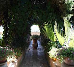 Museum Frédéric Chopin und George Sand