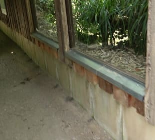 Zoo Heidelberg