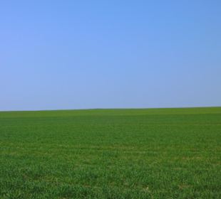 Fantastisches Märzwetter