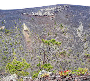 Vulkan San Antonio 1677