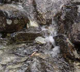 Tatrzański Park Narodowy