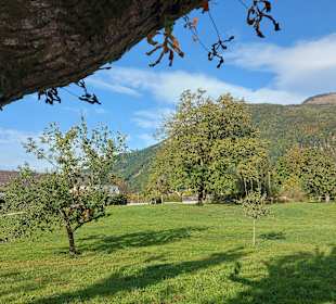 Wandern Grünau im Almtal