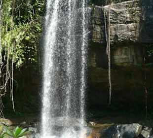 Sheldrick Falls in Shimba Hills