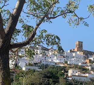 Stadtrundgang Novo Sancti Petri