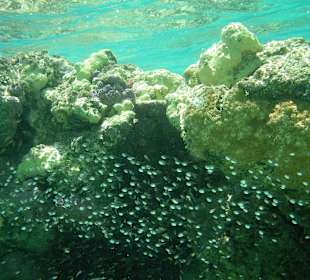 Three Corners Fayrouz Plaza Beach Resort