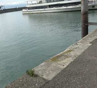 Hafen Friedrichshafen