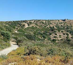 Ein schöner Weg
